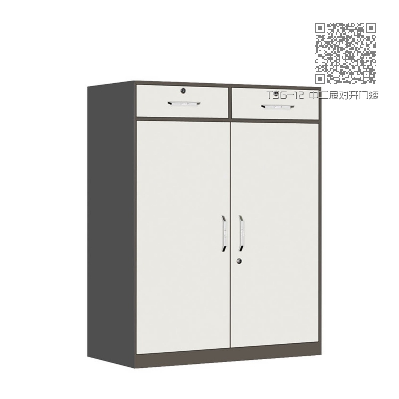 TSG-12 中二屉对开门矮柜